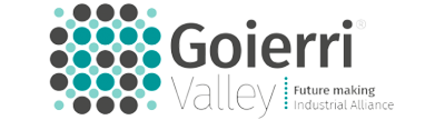 Logo goierri valley